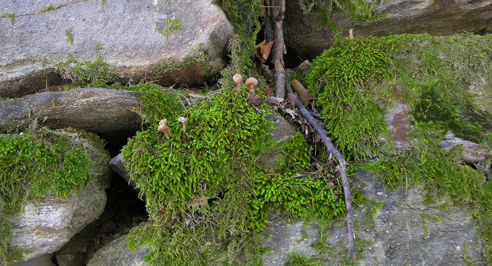 Svuotando l''archivio 2009...parte1